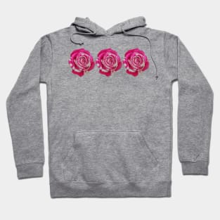 Three Pink and White Roses Floral Photo Hoodie